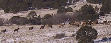 Scenic Picture