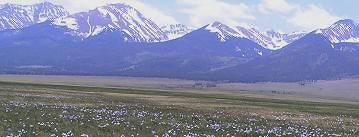 Scenic Picture